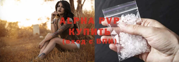 молекула духа Новозыбков