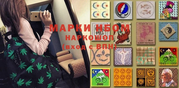 молекула духа Новозыбков