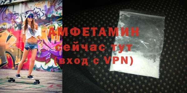 молекула духа Новозыбков