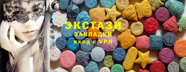 молекула духа Новозыбков