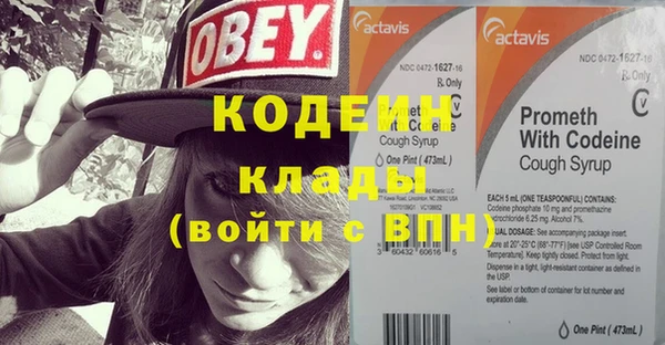 молекула духа Новозыбков