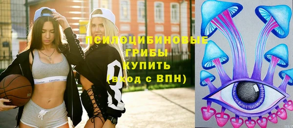 спиды Щигры