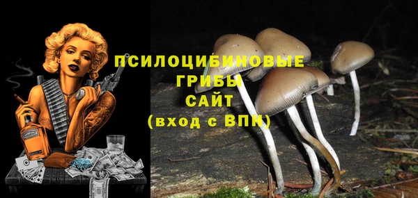 марихуана Новокубанск