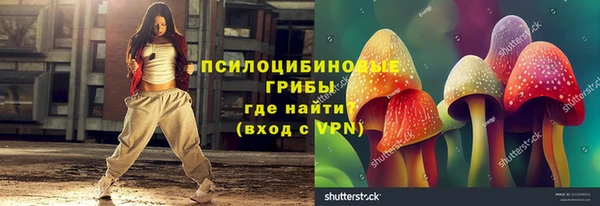 молекула духа Новозыбков